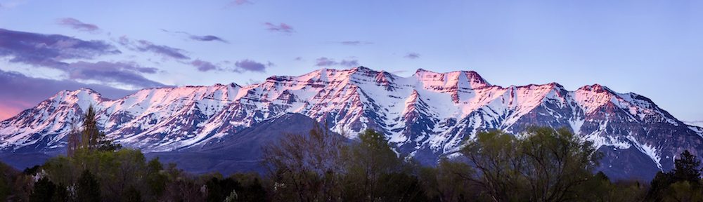 Chamberland Research Group